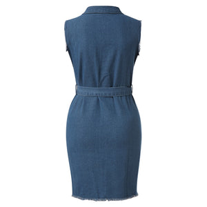 LaShelia Denim Jeans Dress