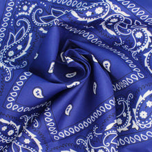 Load image into Gallery viewer, ZPB Blue and White Bandana Bling Fringe Necklace
